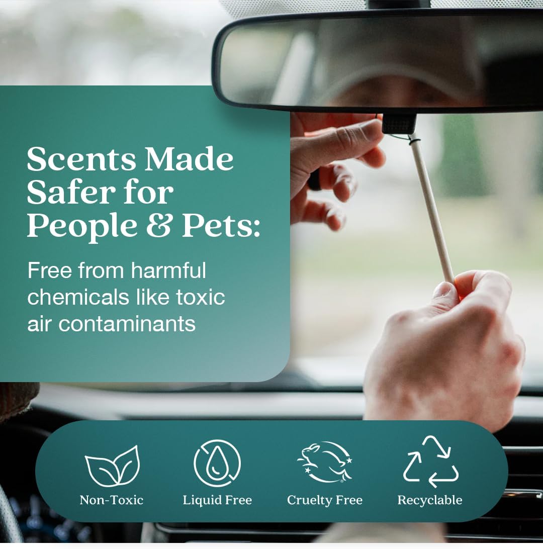 Enviroscent Non-Toxic Car Air Freshener (Seaside Coconut & Verbena) Natural Car Air Freshener | Essential Oil Diffuser | Car Scent Lasting Over 180 Days | 3 Packs of 2 Hanging Auto Stix