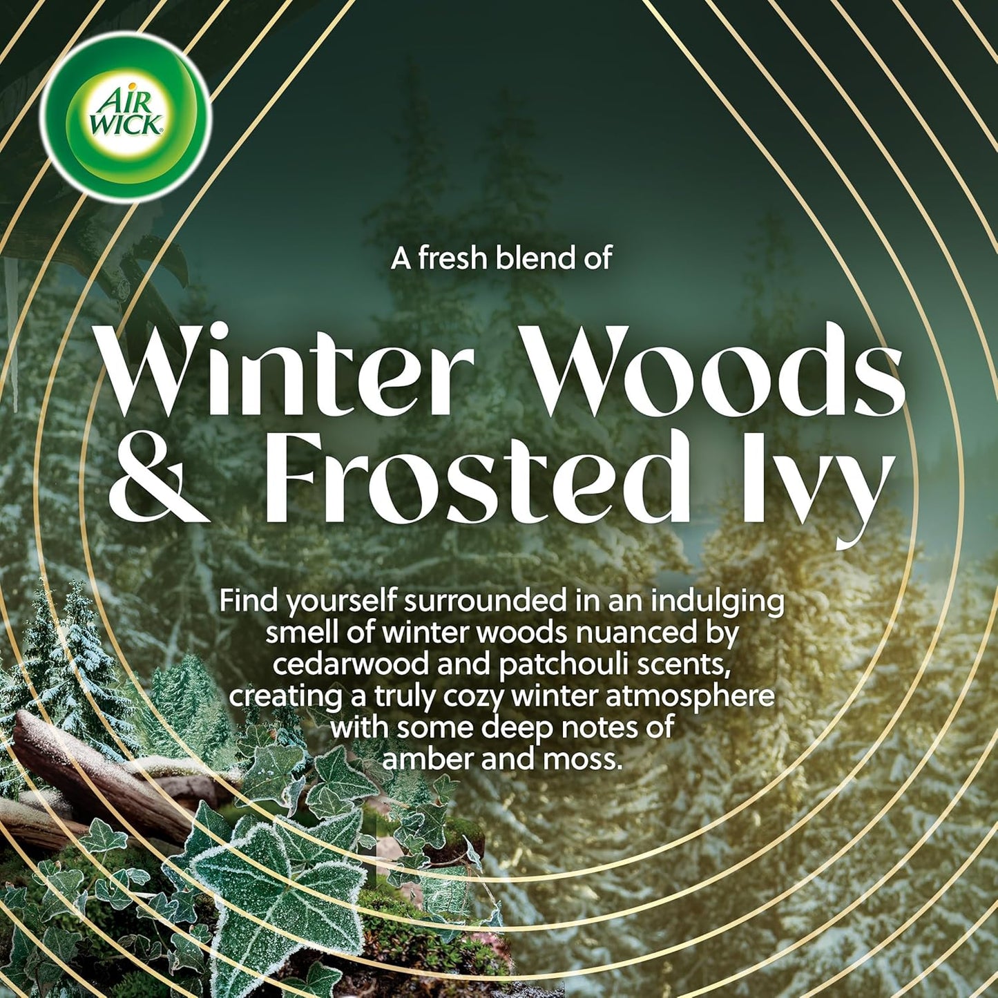 Air Wick Plug In Advanced Scented Oil,Winter Woods + Frosted Ivy,Air Fresheners for Home Long Lasting,Home Room Fresheners,Air Freshener Plug In, House Essentials for Small Spaces + Large Spaces,5 ct